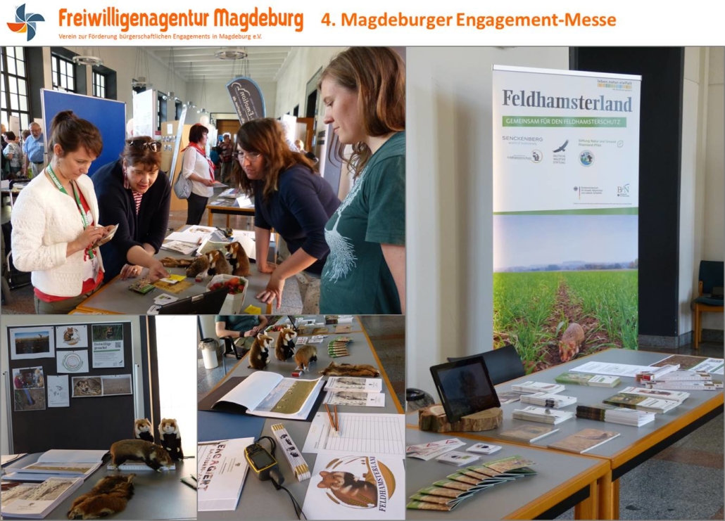 Team Feldhamsterland auf der Engagement Messe in Magdeburg