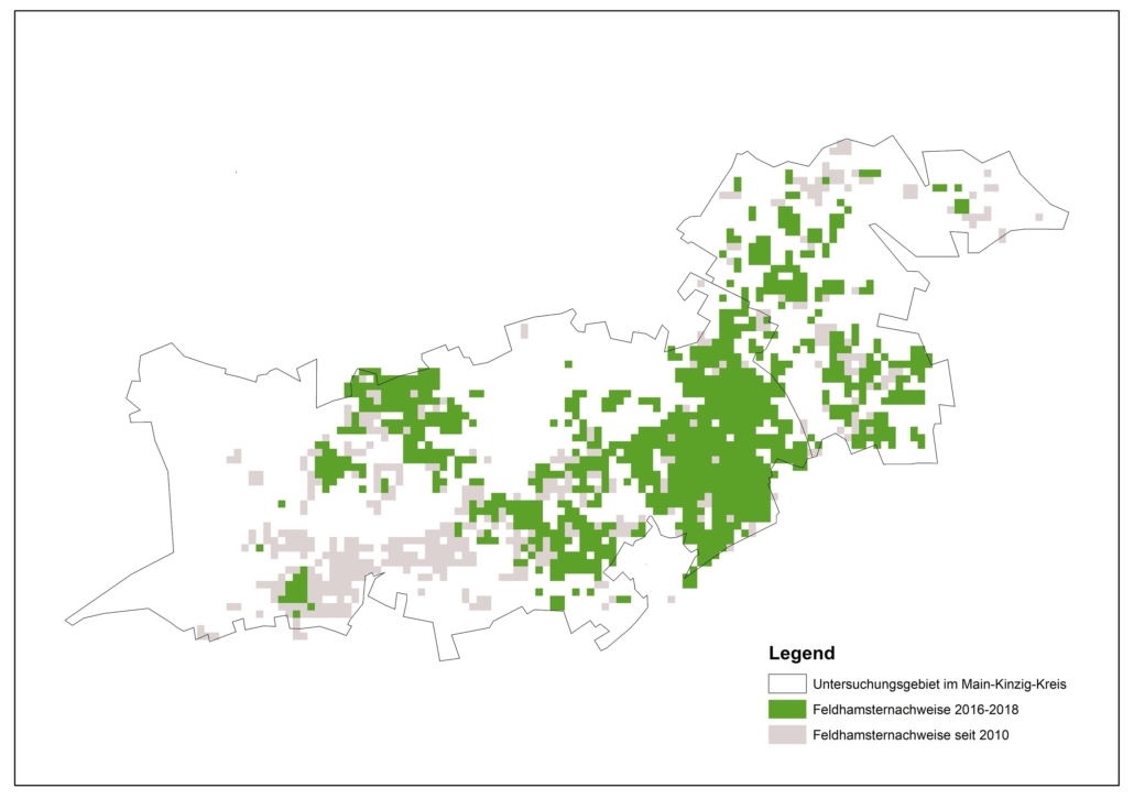Vorkommen des Feldhamsters im Main-Kinzig Kreis
