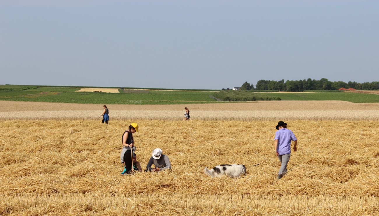 Freiwillige suchen nach dem Feldhamster