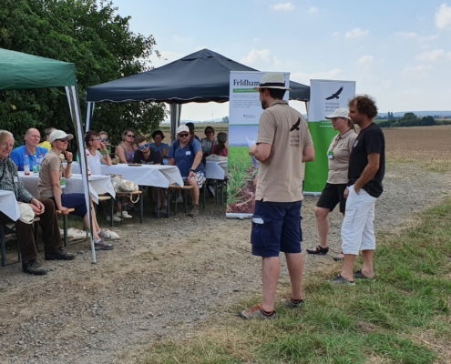 Unsere Feldhamster-Experten erzählen den Gästen des Aktionstages bei Salzgitter-Lesse wie es den Feldhamstern geht. Der Aktionstag findet direkt auf einer Hamsterfläche statt.