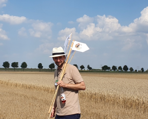 Feldhamster-Experte Moritz Franz-Gerstein leitet die Besucher des Aktionstages bei der Suche nach Feldhamster-Bauen an. Ein gefundener Bau wird mit Stöcken auf dem Feld markiert.