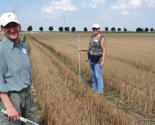 Besucher des Feldhamster-Aktionstages unterstützen tatkräftig und mit Spaß bei der Bau-Suche – immer dabei: der Zollstock zum Vermessen einer Wildtier-Höhle. Ist diese senkrecht, 40 cm tief und an der Öffnung drei Finger breit, kann es sich um einen Feldhamster-Bau handeln.