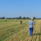 gemeinsame Suche nach Feldhamsterbauen auf dem Acker