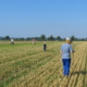 gemeinsame Suche nach Feldhamsterbauen auf dem Acker