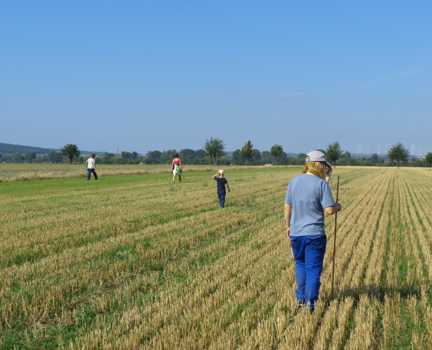 gemeinsame Suche nach Feldhamsterbauen auf dem Acker