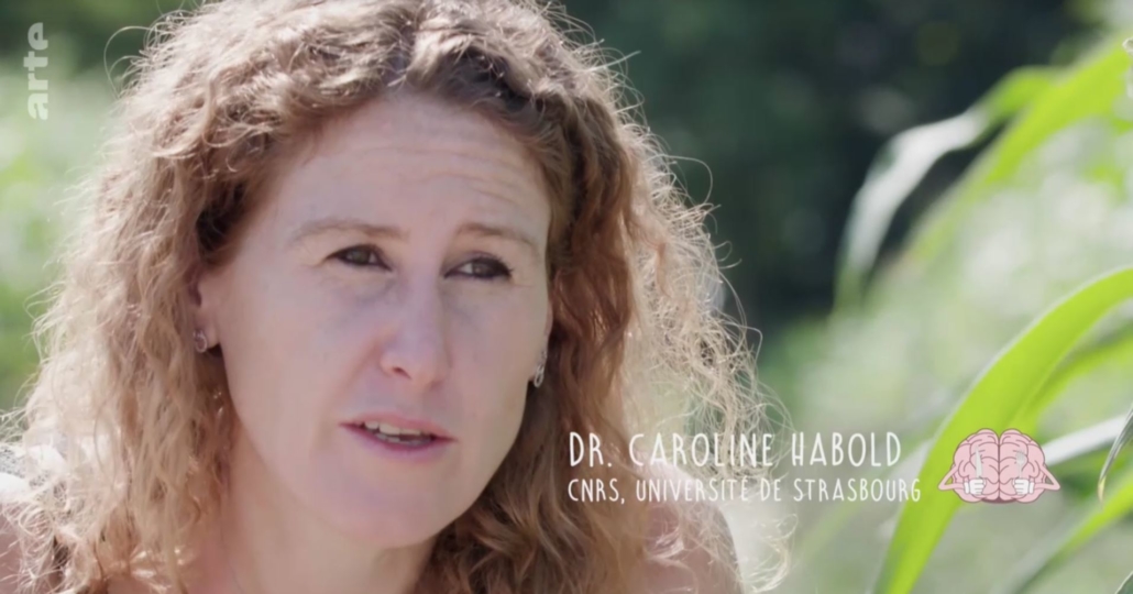 Dr. Caroline Habold, Feldhamsterforscherin
