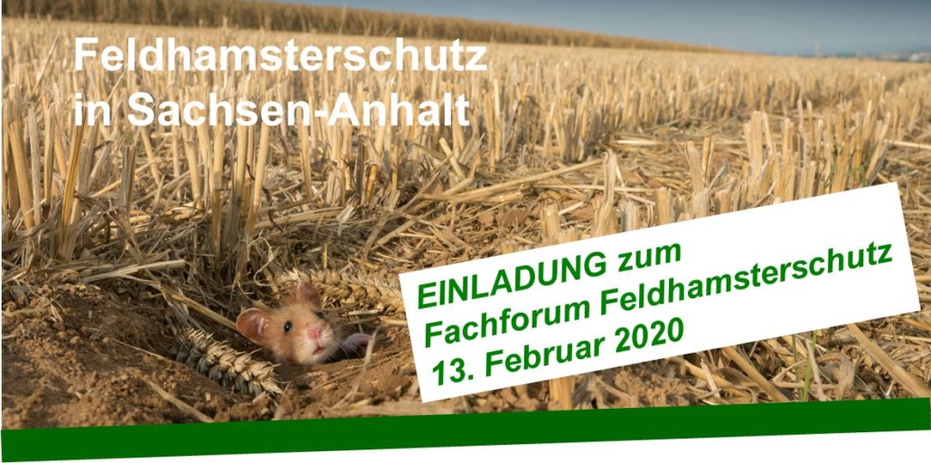 Feldhamsterschutz Forum in Sachsen-Anhalt am 13 02 2020