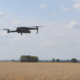fliegende Drohne über Getreidefeld