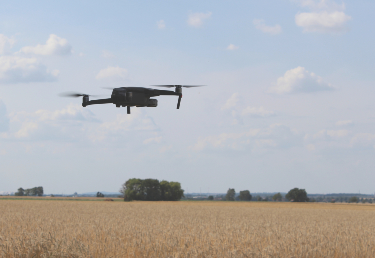 fliegende Drohne über Getreidefeld