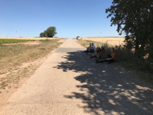 Verschnaufpause im Schatten