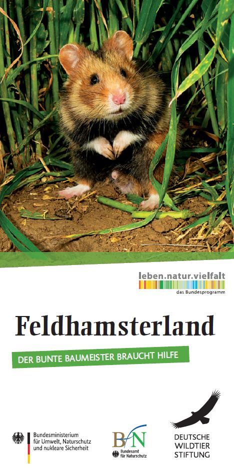 Feldhamsterland - Der Bunte Baumeister braucht Hilfe - Projektflyer