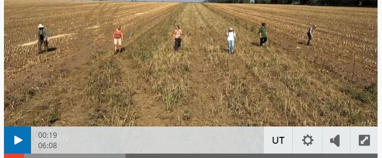 Feldhamsterland im Fernsehen auf MDR