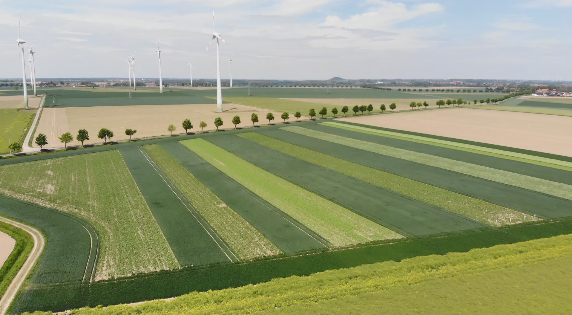 kleinteilige Bewirtschaftung für den Feldhamster