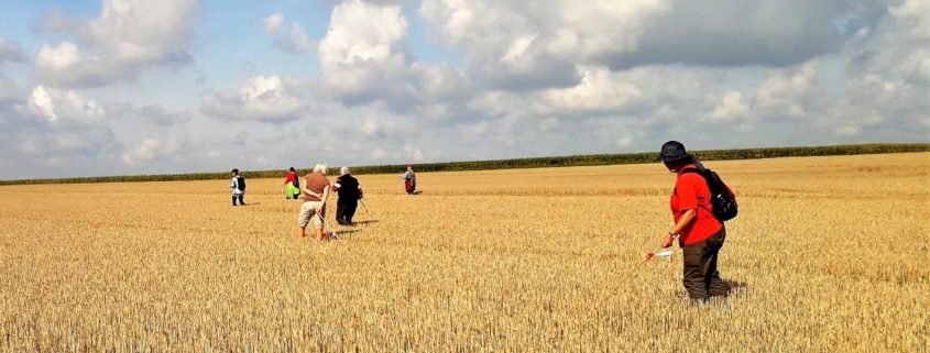 Sommerkartierung