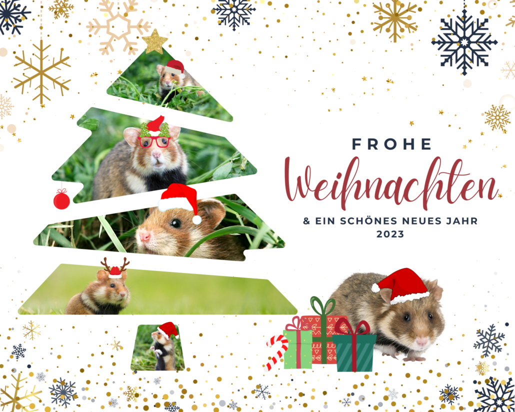 Frohe Weihnachten